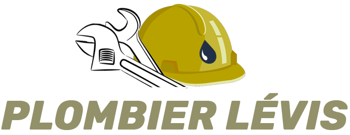 logo plombier levis à québec